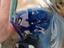 Immagine 5