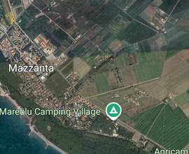 Terreno con uliveta per agricampeggio al mare
