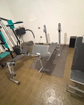 palestra completa