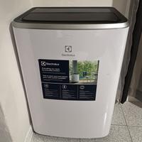 Condizionatore portatile ELECTROLUX 10874 Btu