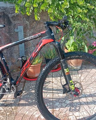 bici mtb wilier in carbonio