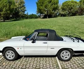 ALFA ROMEO Spider - 1988 [Come nuova]