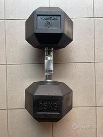 Dumbell manubrio palestra croosfitt crosstraining