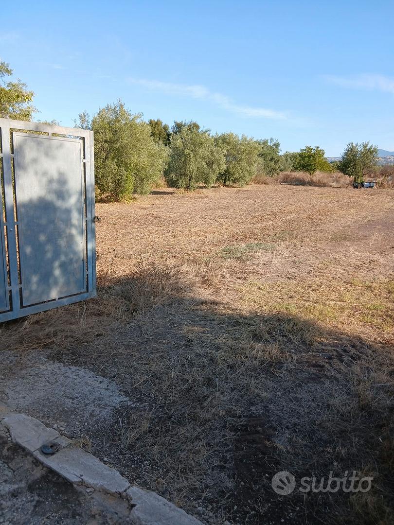 terreno agricolo - Vista 3