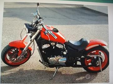 Honda shadow special