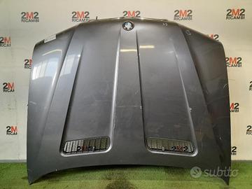 COFANO ANTERIORE BMW X5 Serie (E53) 41617008328 (9