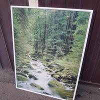 Stampa e cornice 50x70.