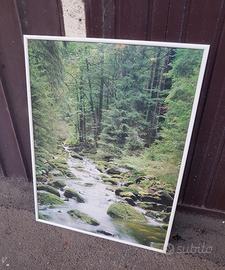 Stampa e cornice 50x70.