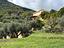 Immagine 7