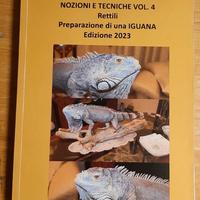 Tassidermia Rettili, imbalsamazione di una Iguana