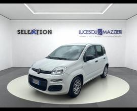 FIAT Panda 3ª serie - Panda 1.0 FireFly S&S Hybrid