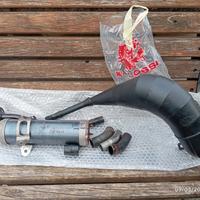 cilindro 77 am6 Malossi mhr e scarico