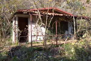 Terreno agricolo