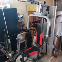 Palestra