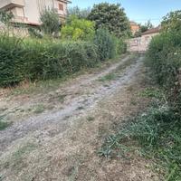 Giardiniere