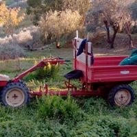 motocoltivatore Pasquali 917