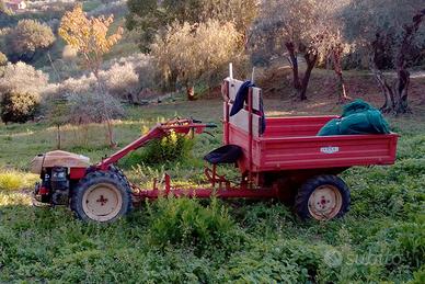 motocoltivatore Pasquali 917