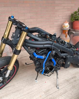 Ricambi Speed Triple 1050 955