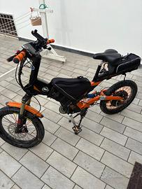 Bici elettrica 1000w