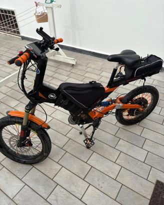 Bici elettrica 1000w
