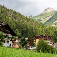 Vacanze dog friendly Val di Fassa Trentino Dolomit