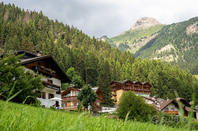 Vacanze dog friendly Val di Fassa Trentino Dolomit