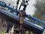 Immagine 29