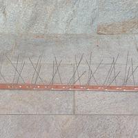 Anti passero piccioni uccelli passeri antipassero