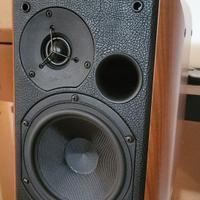 Sonus Faber Concerto Home