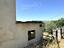 Immagine 11