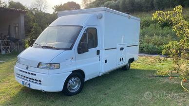 fiat ducato Food-track