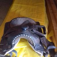 selle per cavalli