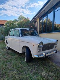FIAT 1100 D