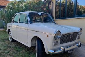 FIAT 1100 D