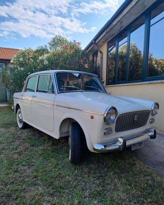 FIAT 1100 D