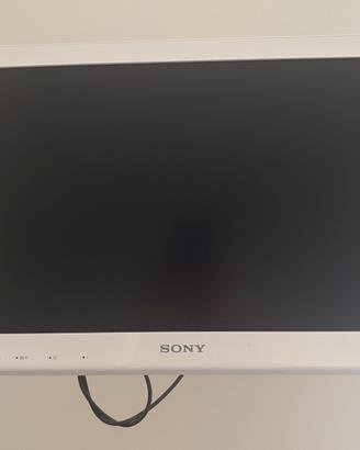 Televisione