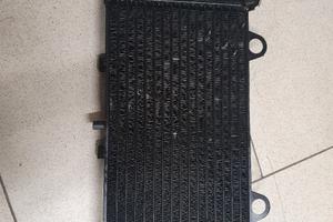 Yamaha mt 03 radiatore