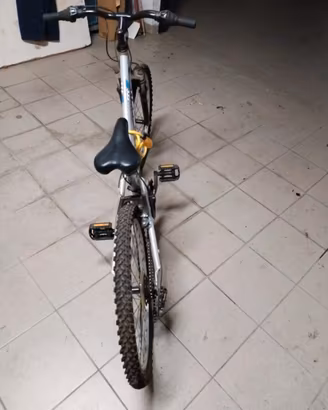 bicicletta 