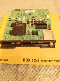 SCHEDA VIDEO TV
