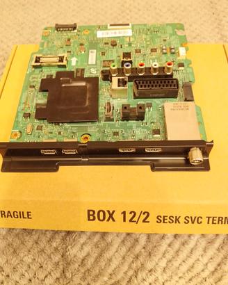SCHEDA VIDEO TV