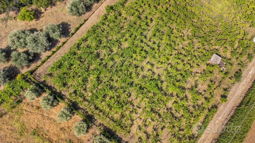 Terreno di 4230 m² a Grottaferrata - Altro