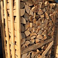 BANCALI LEGNA FAGGIO CARPINO ROVERE