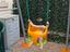 Immagine 2
