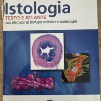 Istologia, Ross II edizione