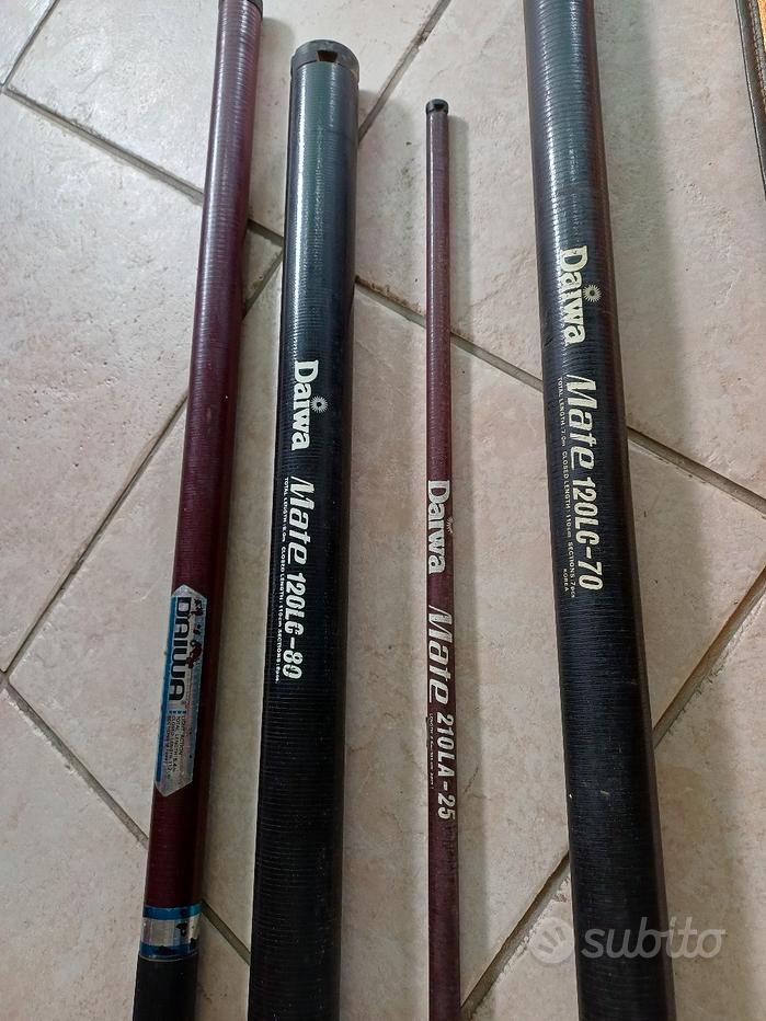 Canne da pesca daiwa Sports e attrezzatura sportiva usata