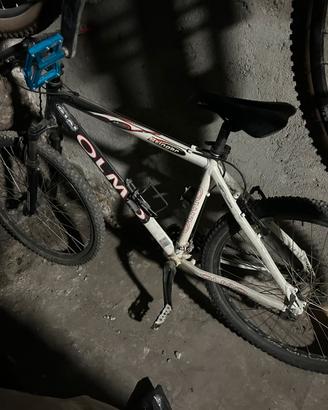 Olmo MTB