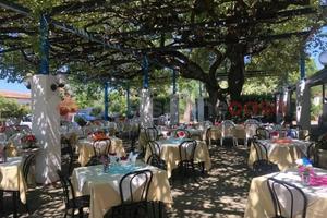 Ristorante Sessa Aurunca [Cod. rif 3288016VCG]