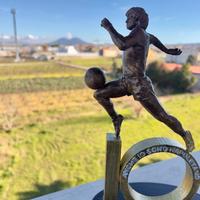Statuetta 3d Maradona