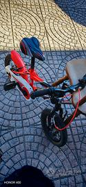 bicicletta 