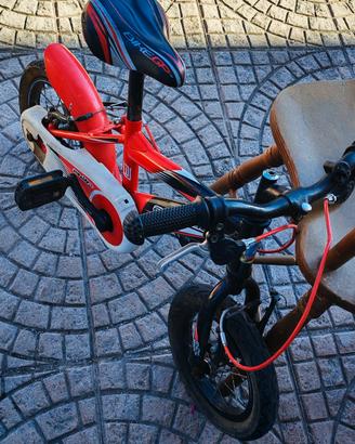bicicletta 